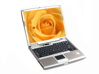 戴尔Latitude D610(质保1年)