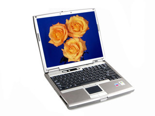 Latitude D610(ʱ3)