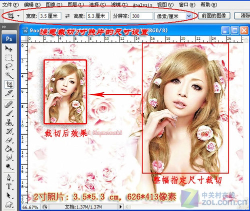 ´ȤζDIY ڼҴӡ֤ 