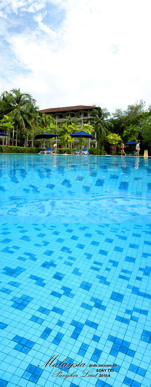 TX5�������� 