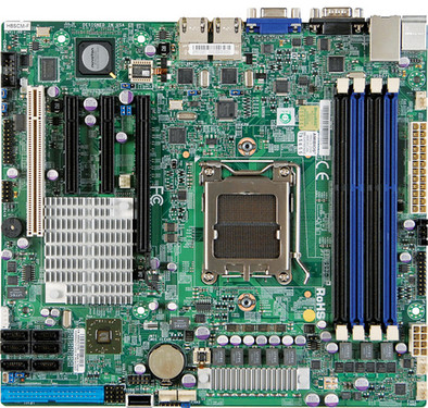 AMD4100µx64۸ս 