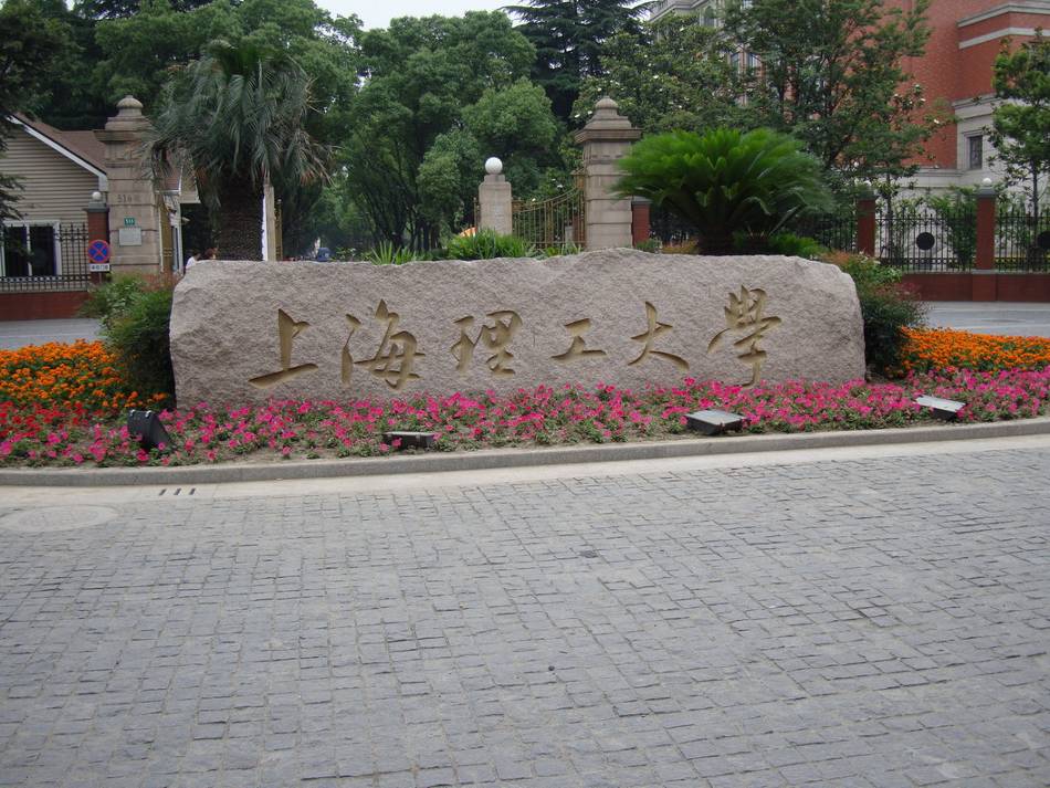 【高清图】 花朵盛开"天遥敬师"上海理工大学报道图2