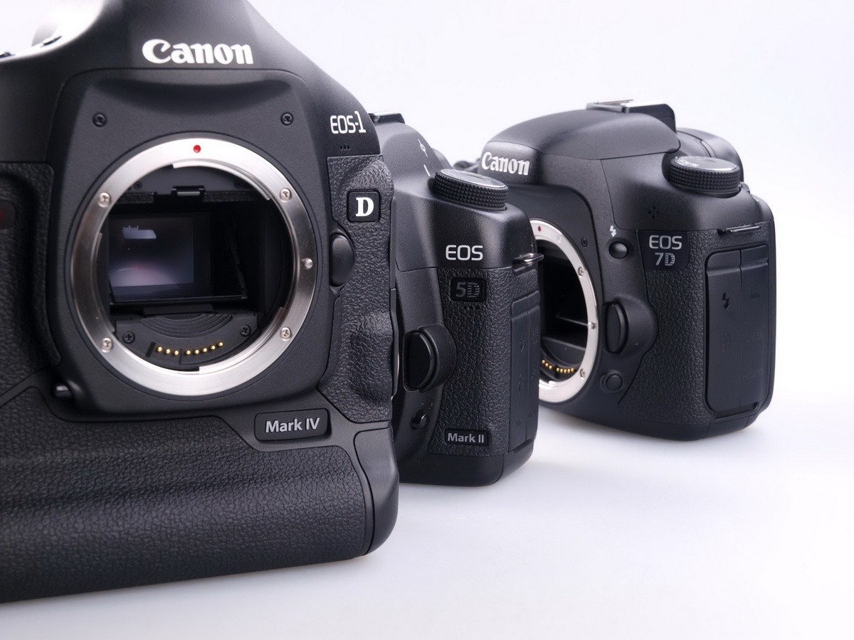 【高清图】 佳能(canon)1d mark iv局部细节图 图79