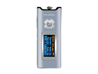 ִHY-6421256MB
