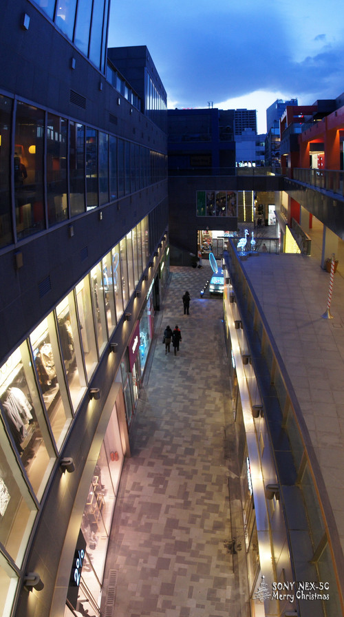 ���������ʥ���� ����NEX5���������� 