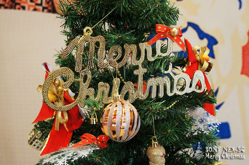 ���������ʥ���� ����NEX5���������� 