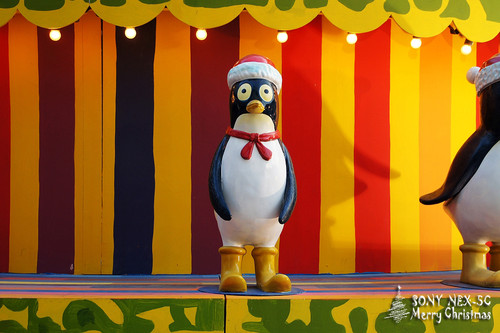 ���������ʥ���� ����NEX5���������� 