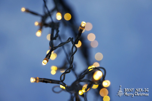 ���������ʥ���� ����NEX5���������� 