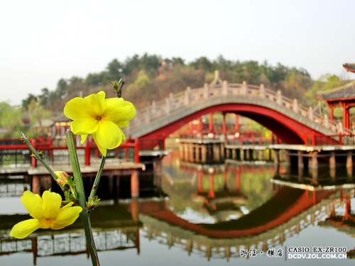 �ع���԰������ ����ŷZR100�������� 