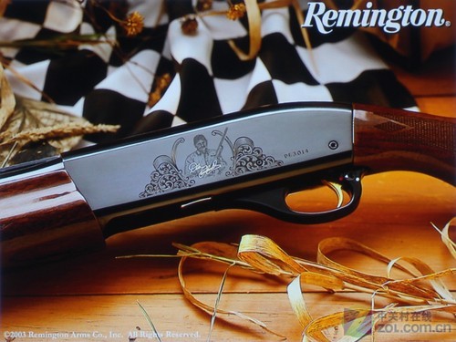 3DӰԺ콢 VW90ESͶЧͼ