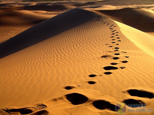 那些过去的故事 哪些手机词汇离我们而去