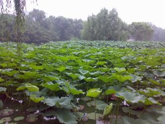 ŵ����N73����K800i��ս320������֮�� 