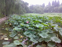 ŵ����N73����K800i��ս320������֮�� 