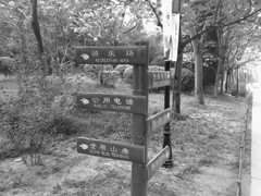 ŵ����N73����K800i��ս320������֮�� 