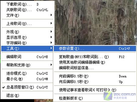 ���ߣ��������� 