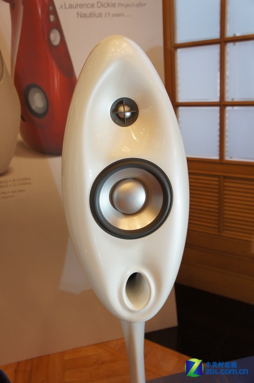 【高清图】 白天鹅2011:南非烧钱利器vivid audio图9