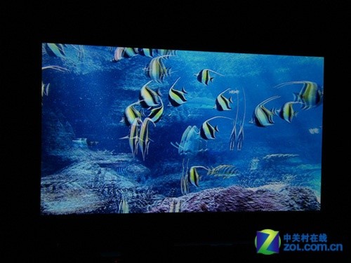 高清享乐主义 索尼3D+1080p影院鉴赏会