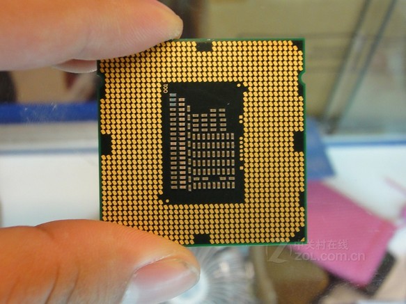 【Intel 赛扬 G530 散】报价_参数_图片_论坛_Intel 赛扬 G530（散） CPU报价-ZOL中关村在线