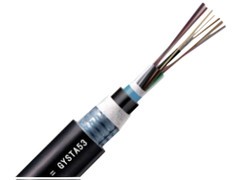 ���Ʊ�������������ģ96о����(GYSTA53-96B)