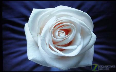 19Ӣ�����1999Ԫ ���� VG1921wm���� 