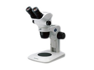 ���ְ�˹SZ61-ILST