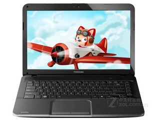 ��֥C805-T03B(������)